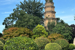 IMG_5489