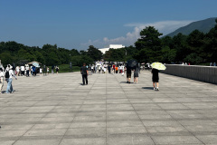 IMG_3602