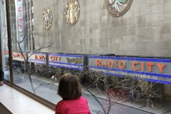 IMG_4239-e1525227022473