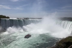 IMG_3797