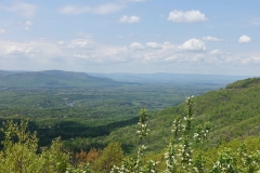 DSC02017